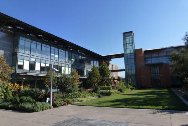 Mondavi Wine Institute